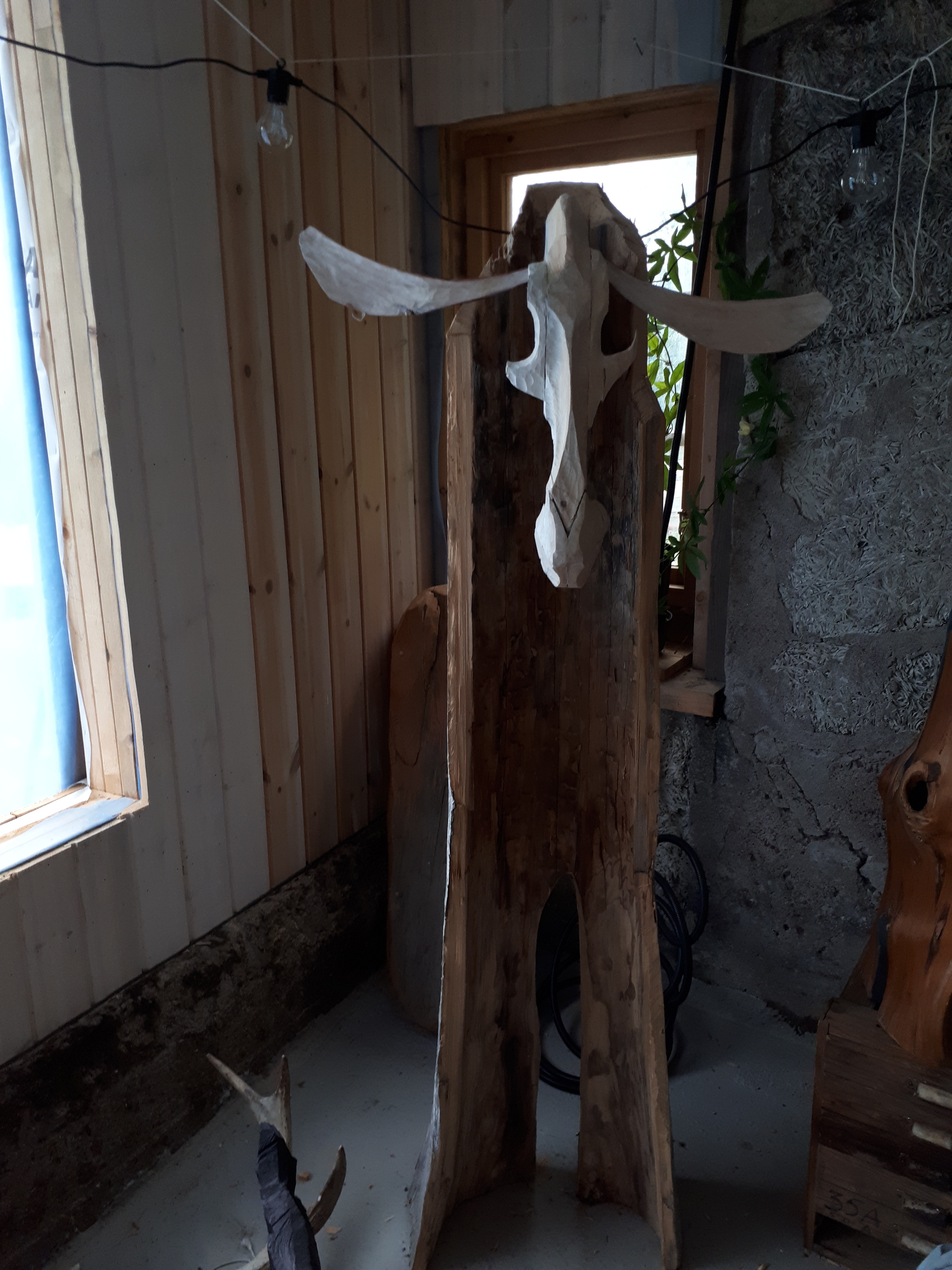 20170911_082339 - kopia